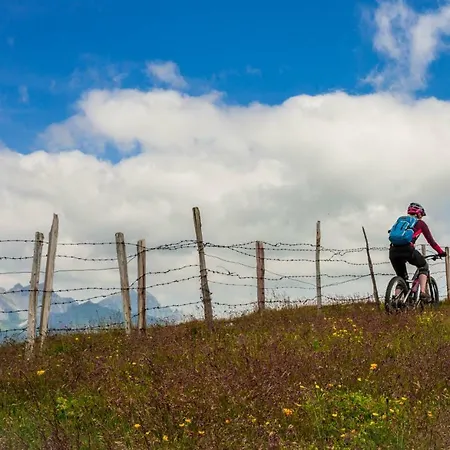 Lejlighed Medraz Fulpmes