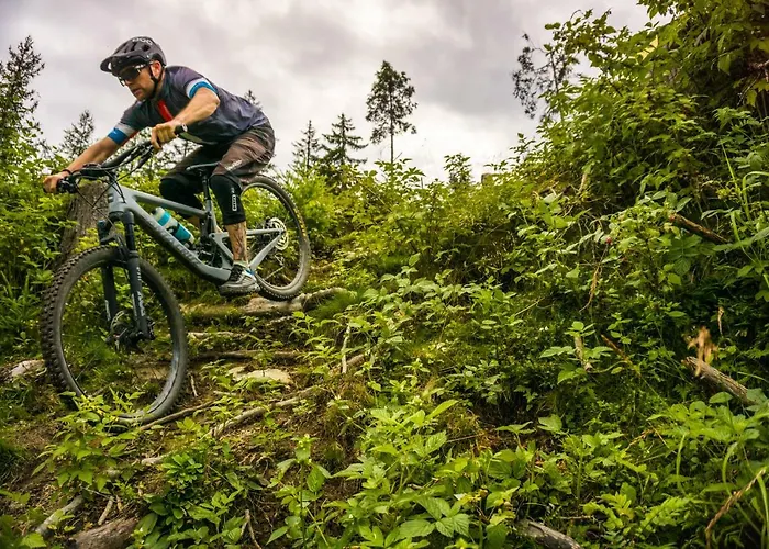 Medraz Apartment Fulpmes